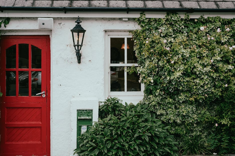 Quaint Irish cottage with vibrant red door and lush ivy, offering rustic charm in County Kerry.